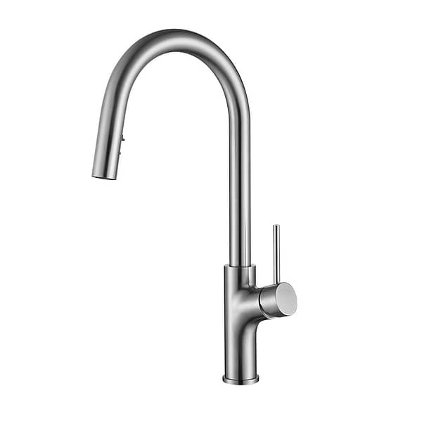 kitchen faucets with sprayer